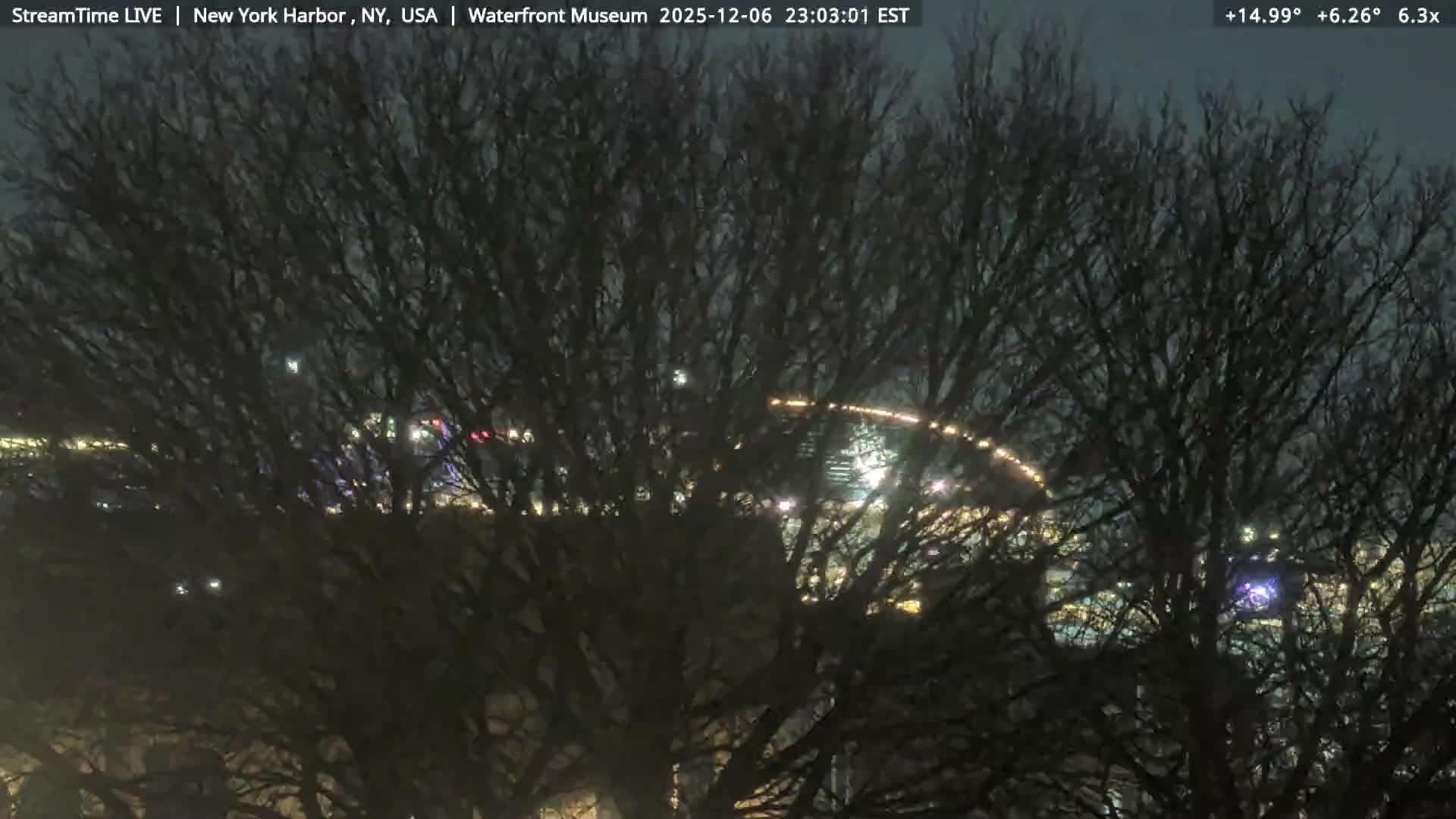 New York City Silhouette& Statue of Liberty View  from New York Bay Live Cam - Brooklyn, New York City, New York, USA