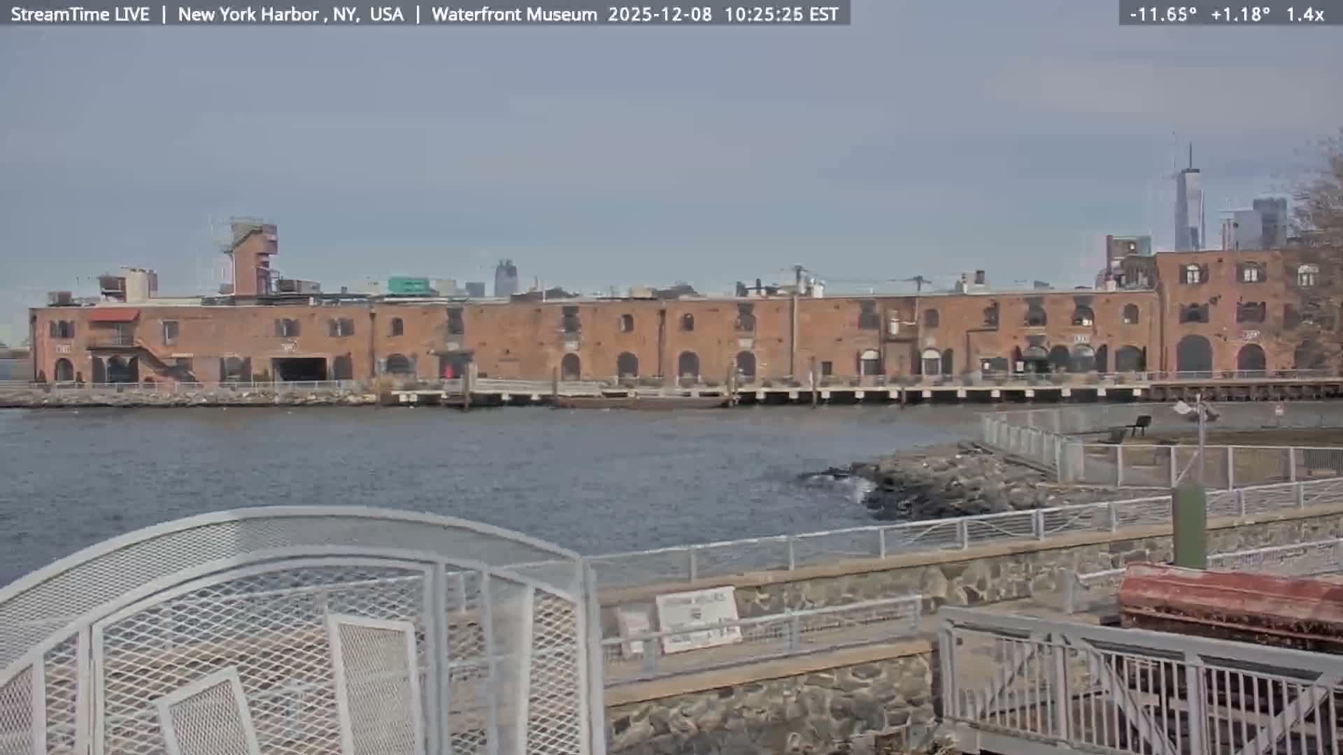 New York City Silhouette& Statue of Liberty View  from New York Bay Live Cam - Brooklyn, New York City, New York, USA