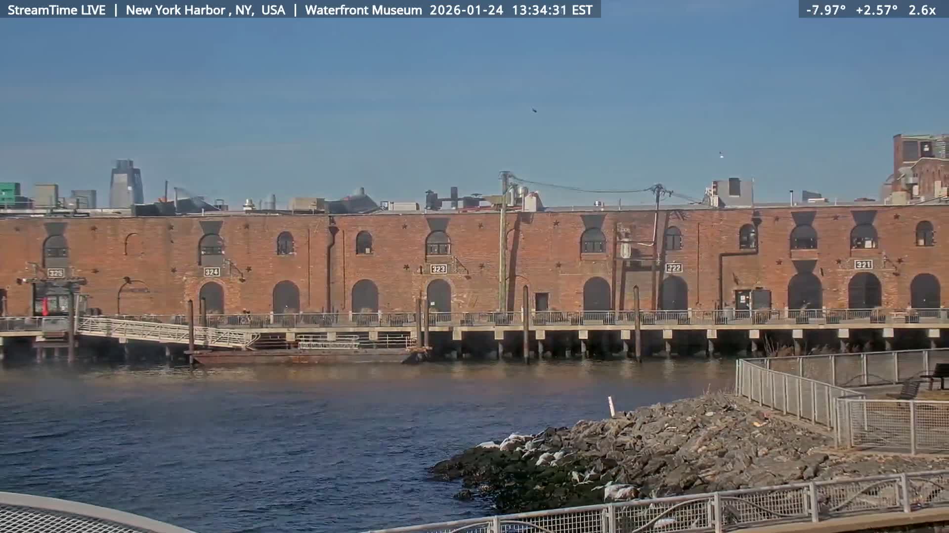 New York City Silhouette& Statue of Liberty View  from New York Bay Live Cam - Brooklyn, New York City, New York, USA