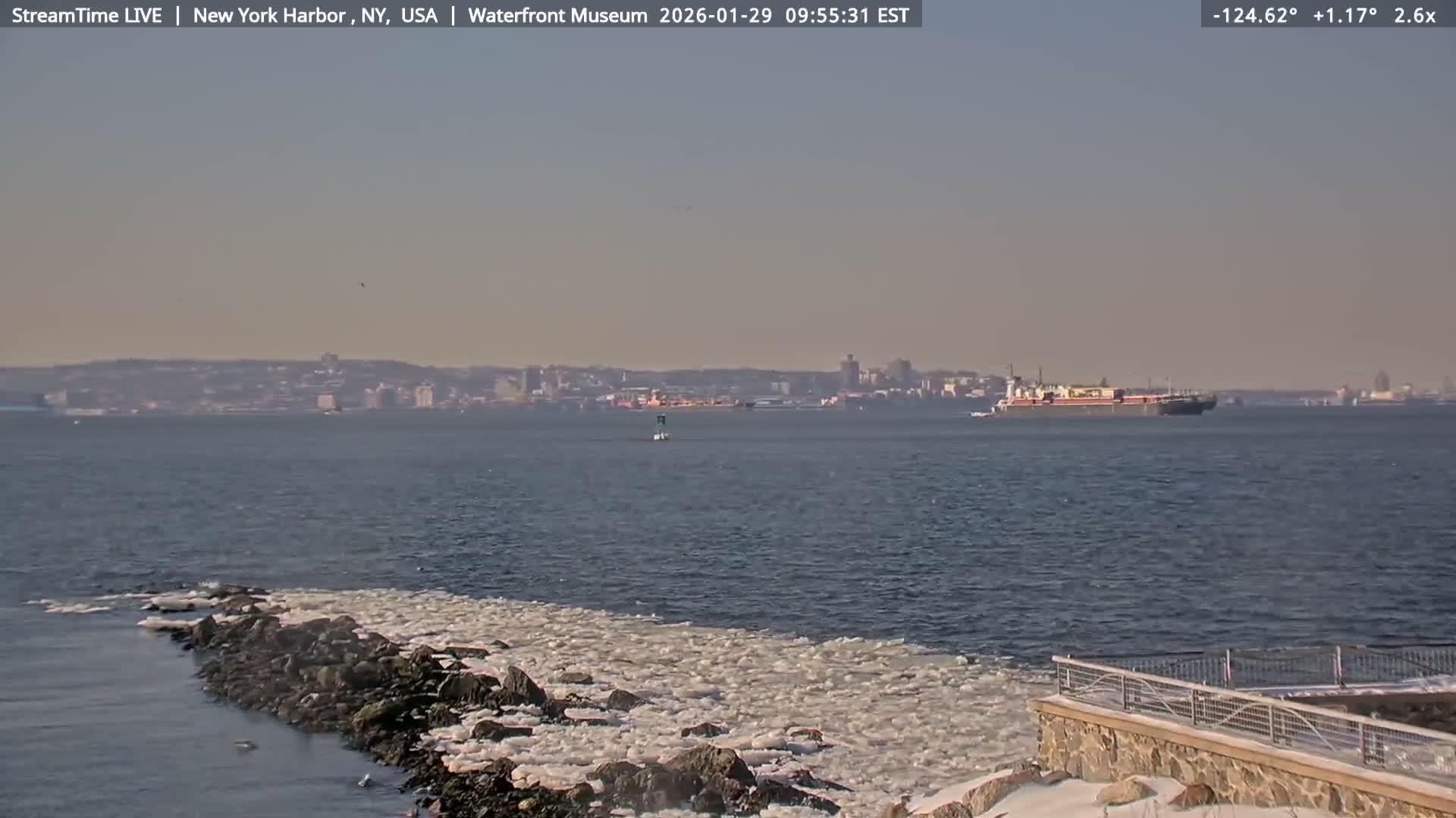 New York City Silhouette& Statue of Liberty View  from New York Bay Live Cam - Brooklyn, New York City, New York, USA
