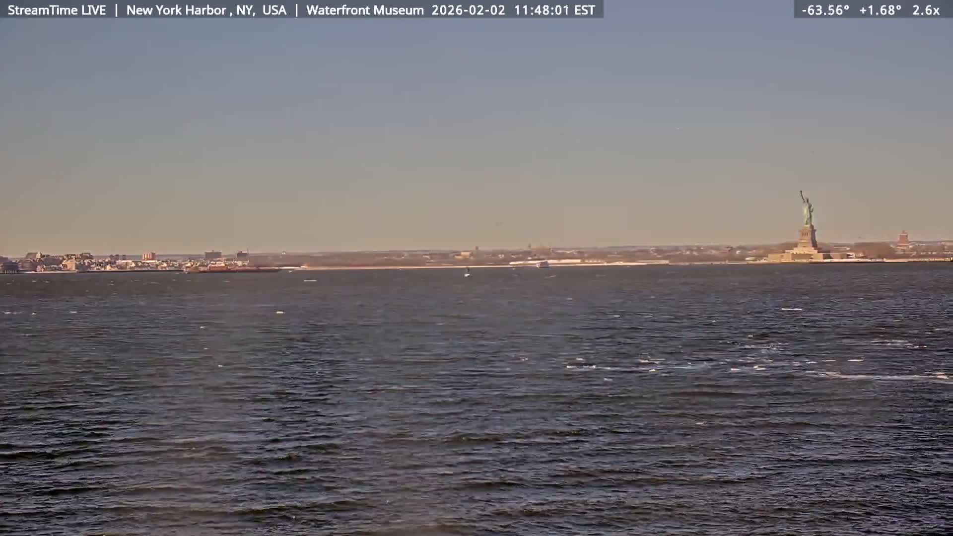 New York City Silhouette& Statue of Liberty View  from New York Bay Live Cam - Brooklyn, New York City, New York, USA