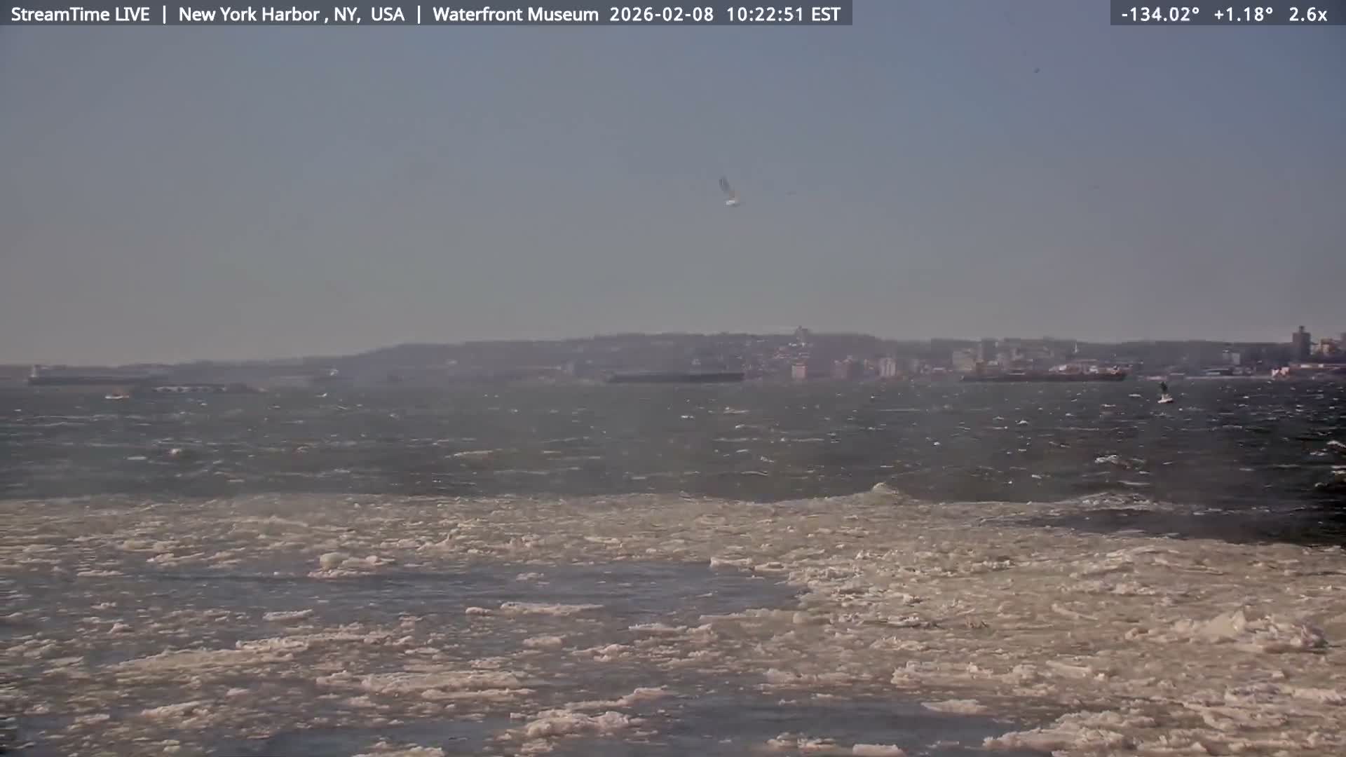 New York City Silhouette& Statue of Liberty View  from New York Bay Live Cam - Brooklyn, New York City, New York, USA