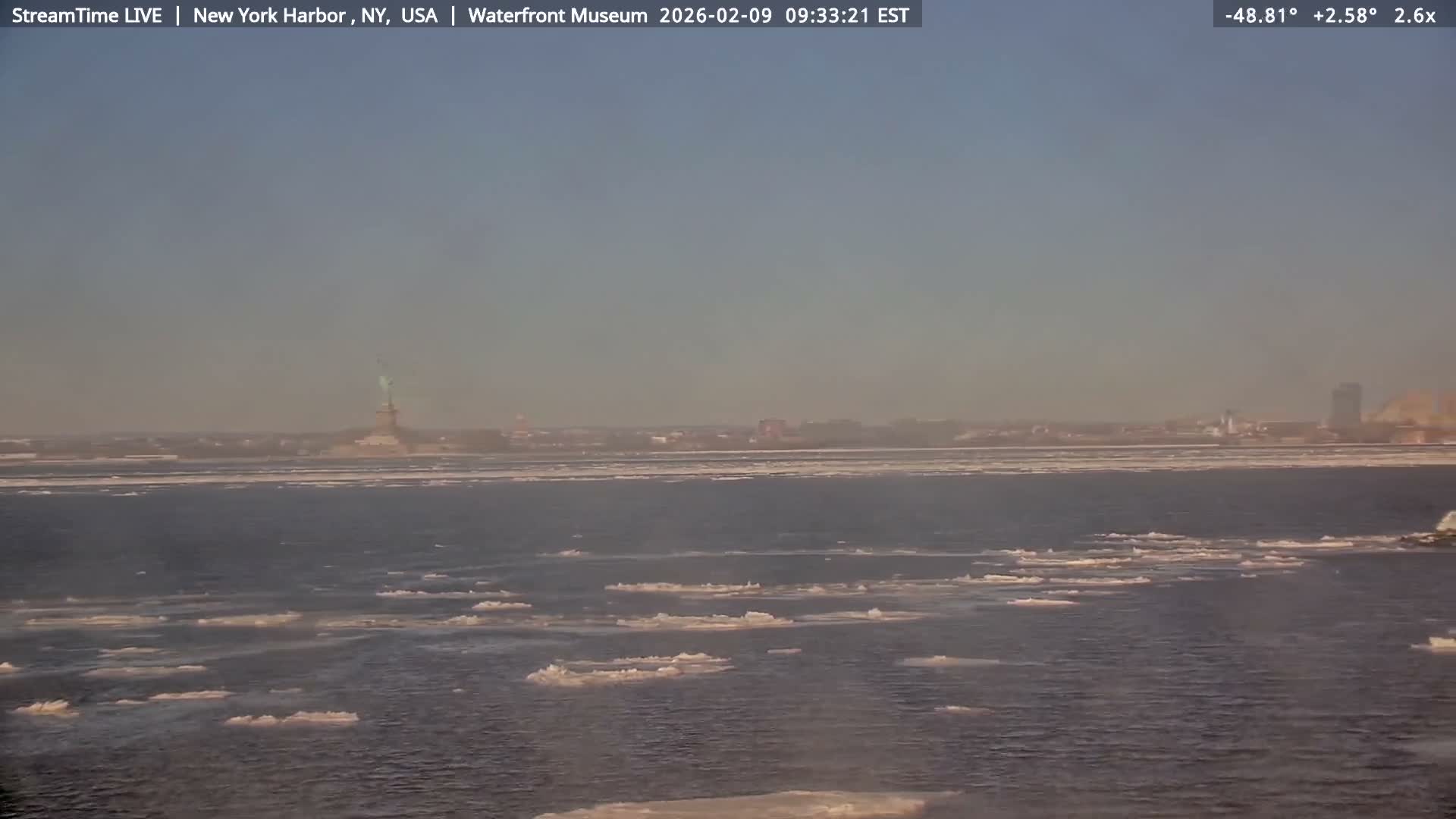 New York City Silhouette& Statue of Liberty View  from New York Bay Live Cam - Brooklyn, New York City, New York, USA
