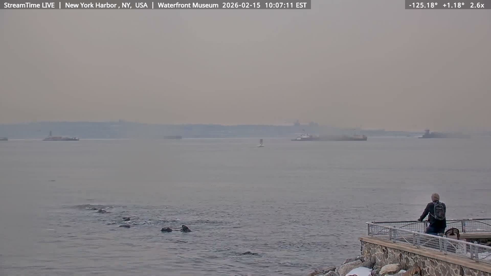 New York City Silhouette& Statue of Liberty View  from New York Bay Live Cam - Brooklyn, New York City, New York, USA