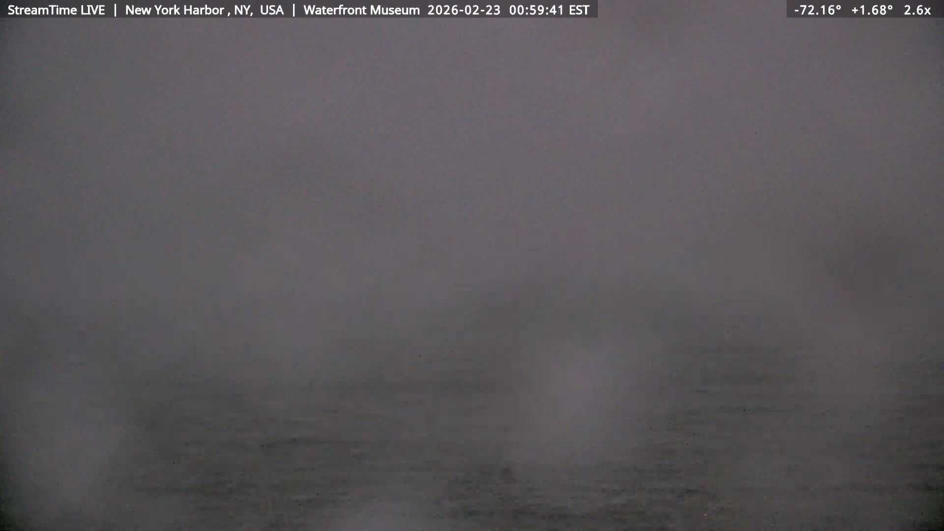 New York City Silhouette& Statue of Liberty View  from New York Bay Live Cam - Brooklyn, New York City, New York, USA