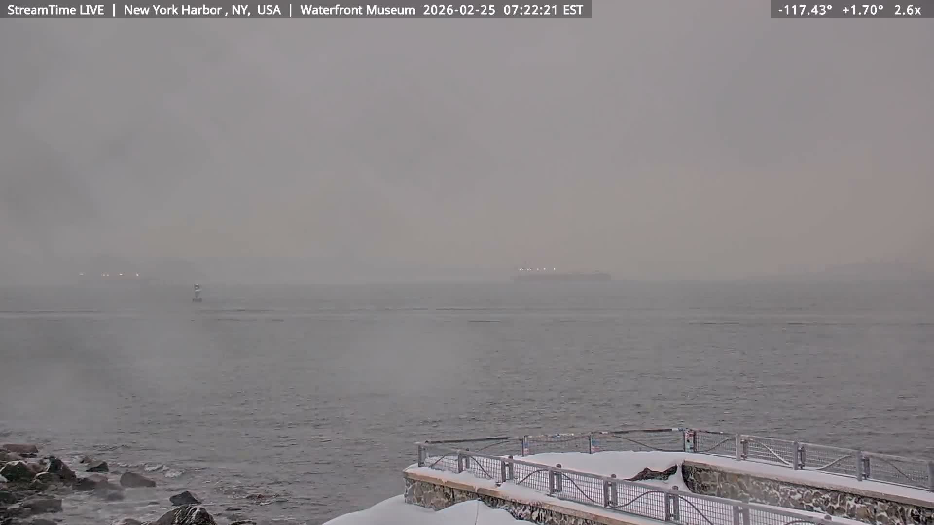 New York City Silhouette& Statue of Liberty View  from New York Bay Live Cam - Brooklyn, New York City, New York, USA