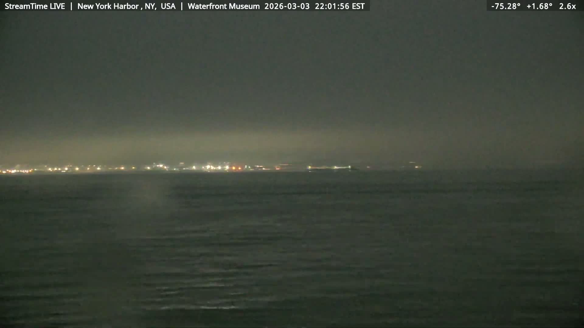 New York City Silhouette& Statue of Liberty View  from New York Bay Live Cam - Brooklyn, New York City, New York, USA