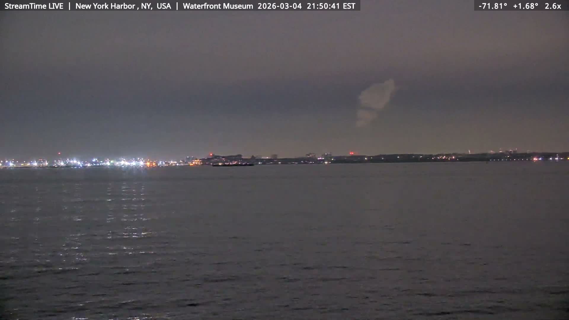 New York City Silhouette& Statue of Liberty View  from New York Bay Live Cam - Brooklyn, New York City, New York, USA