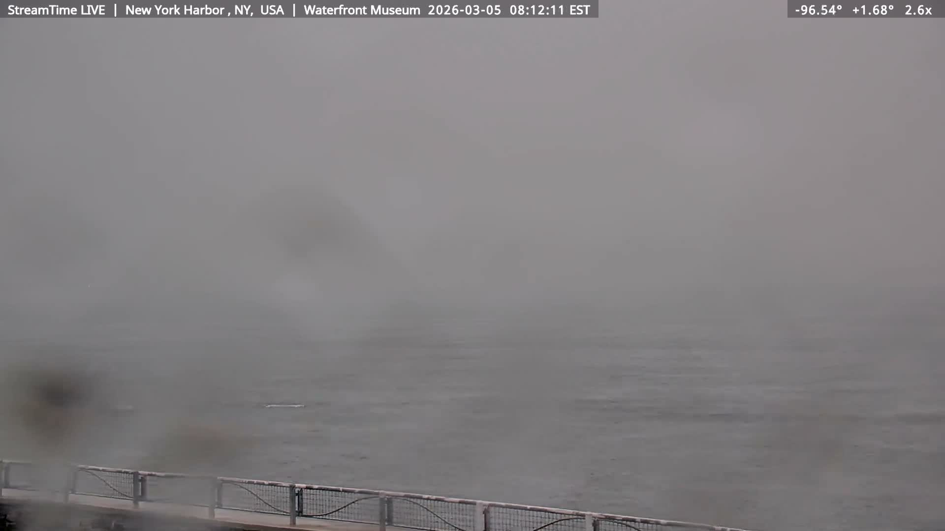 New York City Silhouette& Statue of Liberty View  from New York Bay Live Cam - Brooklyn, New York City, New York, USA