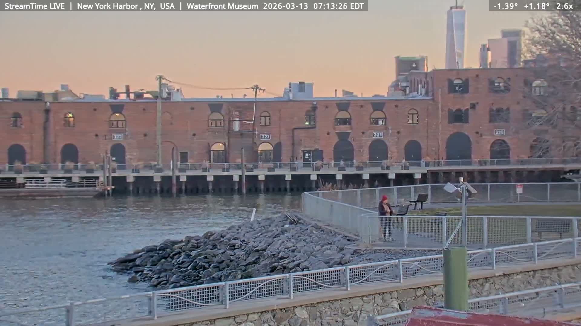 New York City Silhouette& Statue of Liberty View  from New York Bay Live Cam - Brooklyn, New York City, New York, USA