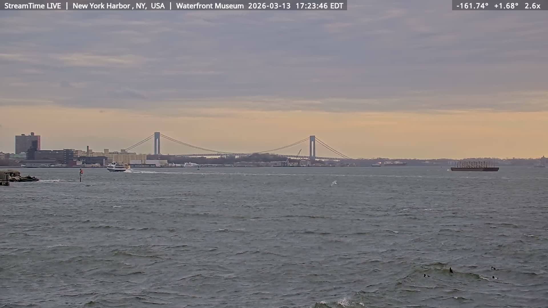 New York City Silhouette& Statue of Liberty View  from New York Bay Live Cam - Brooklyn, New York City, New York, USA