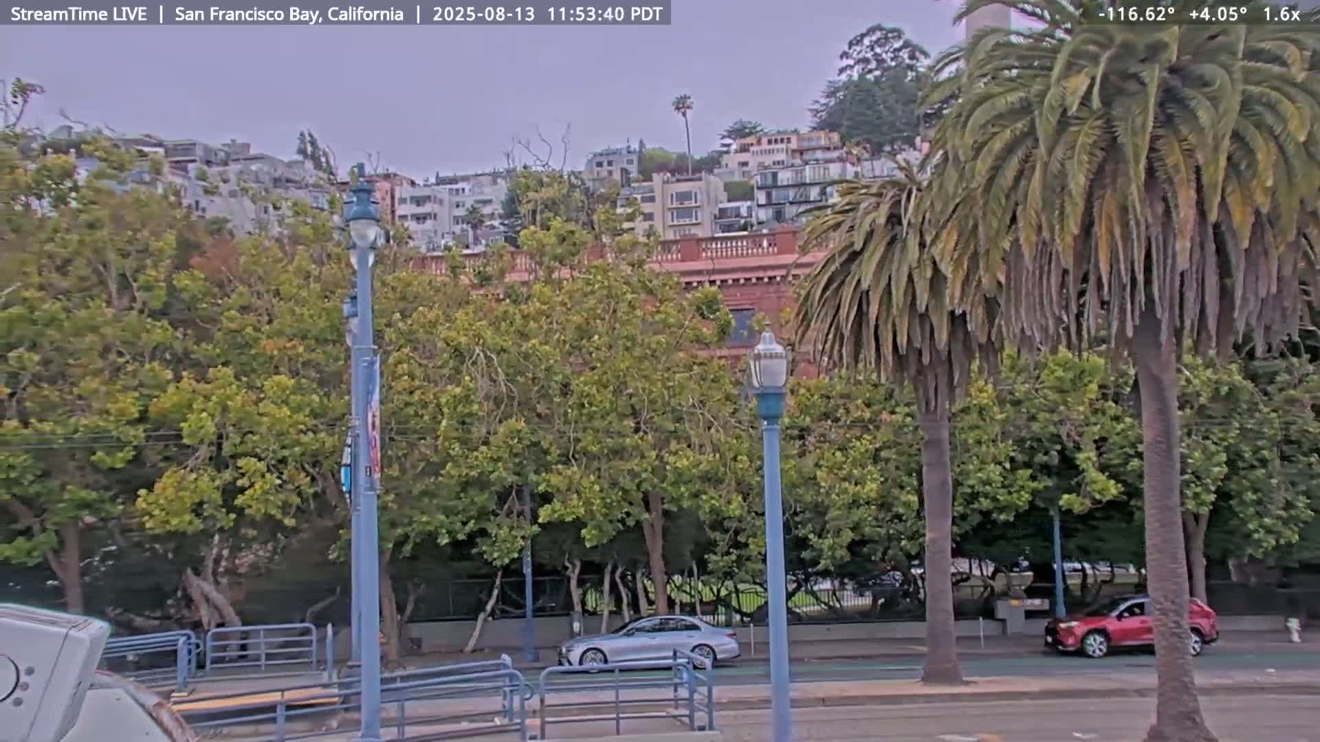 A partly cloudy day shows a street scene with two cars driving past palm trees and lush greenery, with a hillside of buildings in the background.