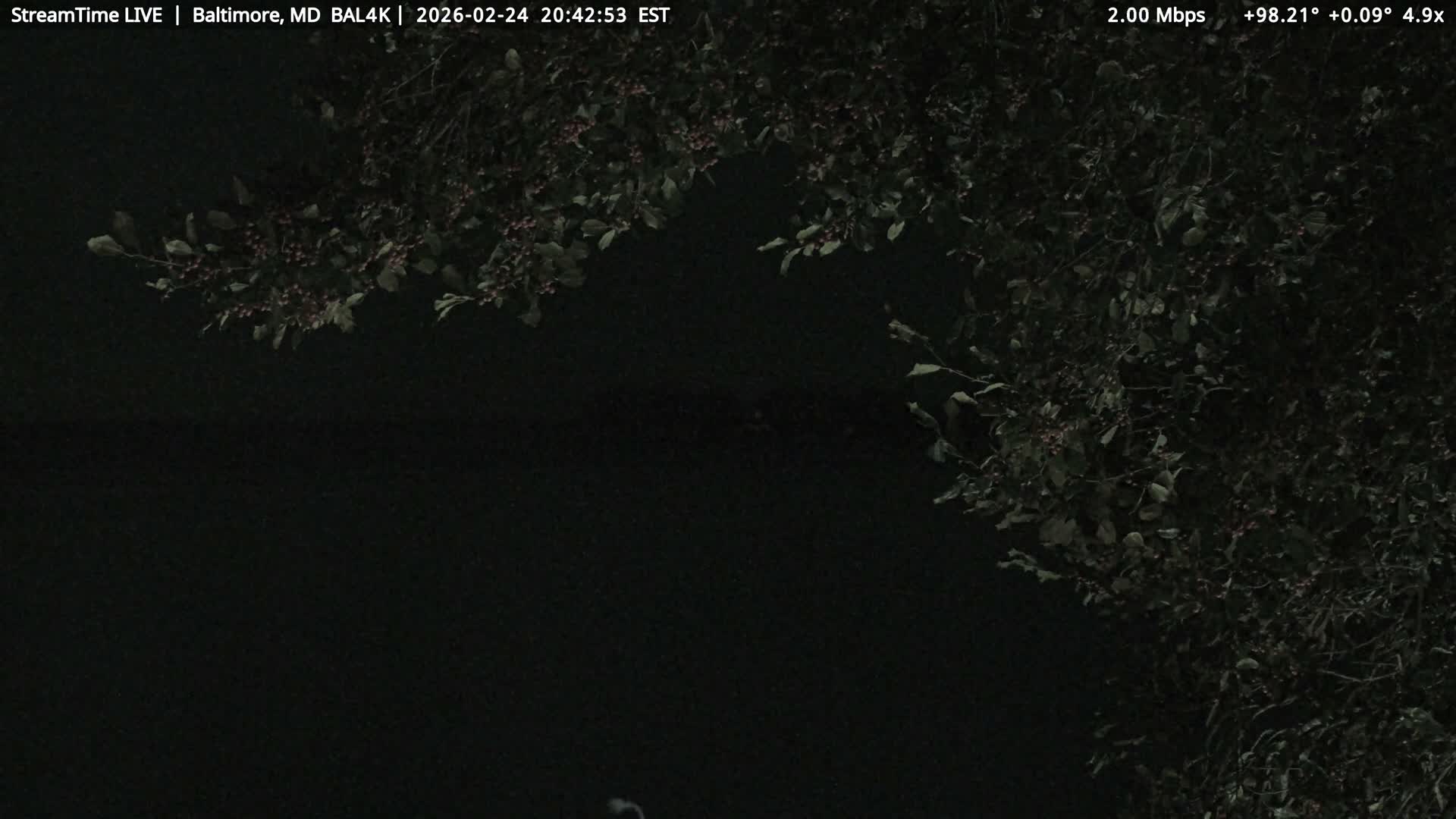 Port of Baltimore, Francis Scott Key Bridge, & Dundalk Marine Terminal & Patapsco River View from Fort Smallwood Park Live Cam - Pasadena, Anne Arundel, Maryland, USA