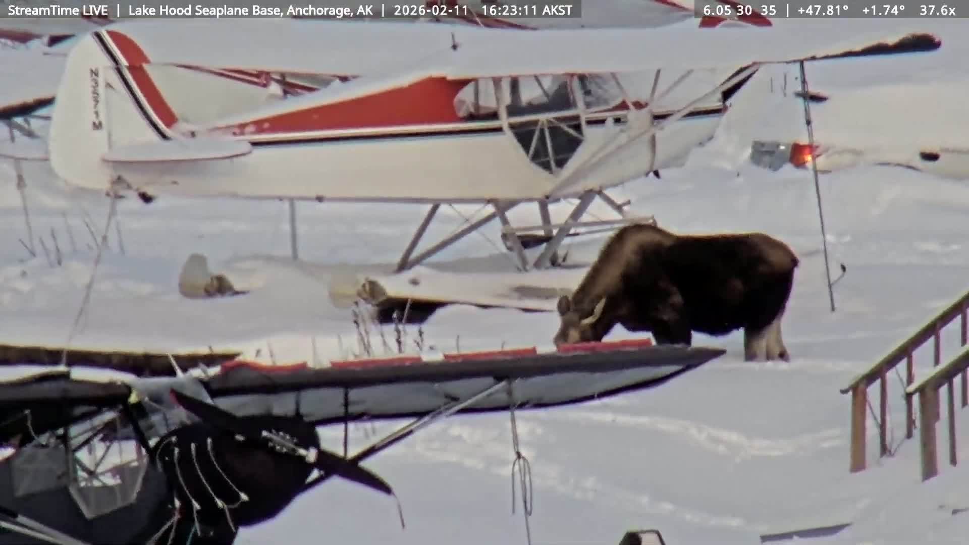 Anchorage, Lake Hood Seaplane Base / Ted Stevens International Airport Live Cam ANC / PANC - Turnagain, Anchorage, Alaska, USA