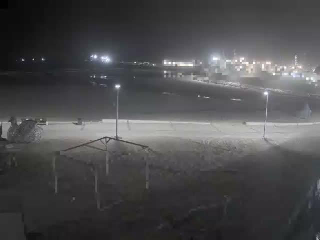 Ashdod, Port of Ashdod Live Cam - Ashkelon, Southern, Israel
