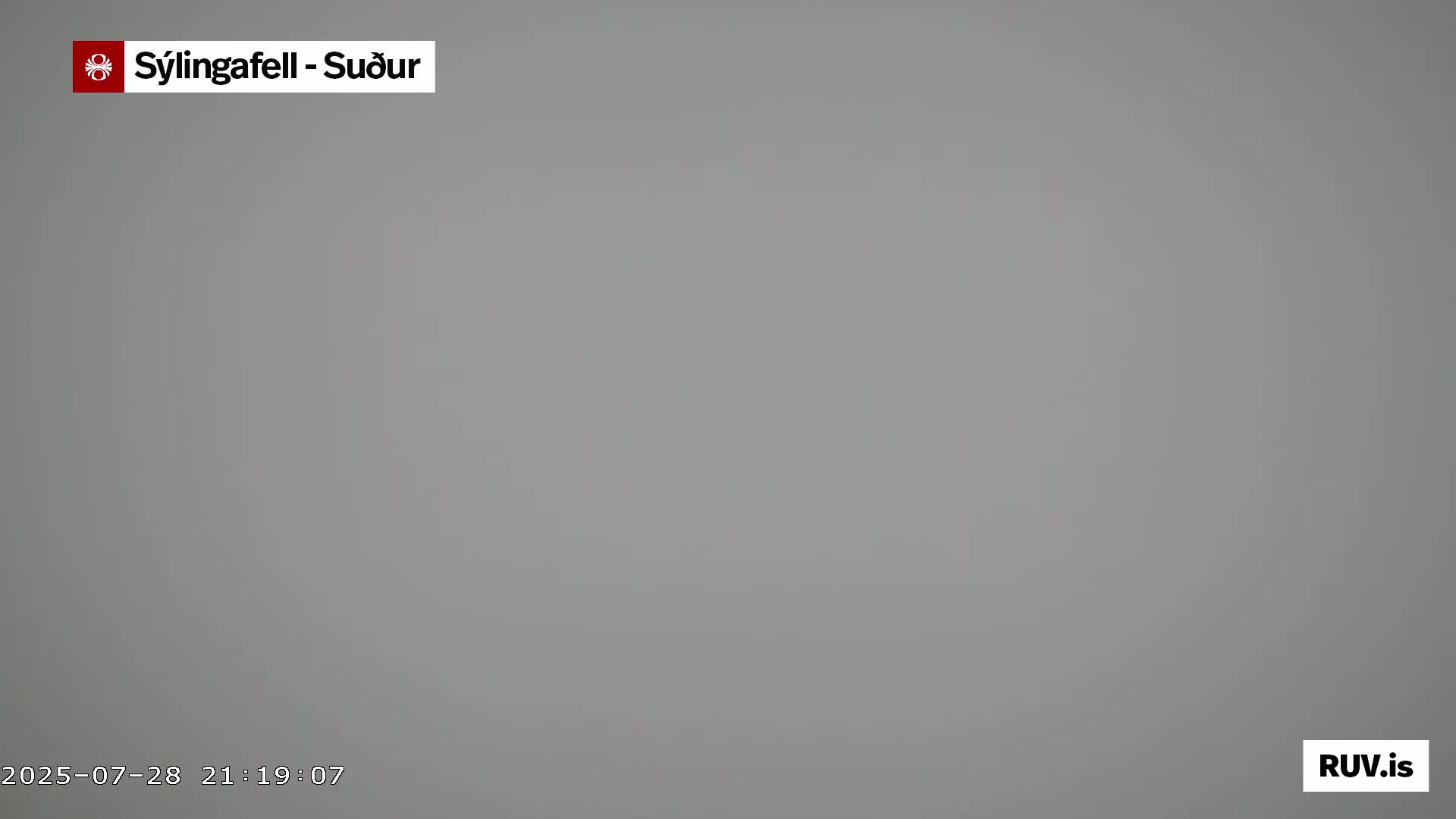 A uniformly gray, foggy scene is visible.