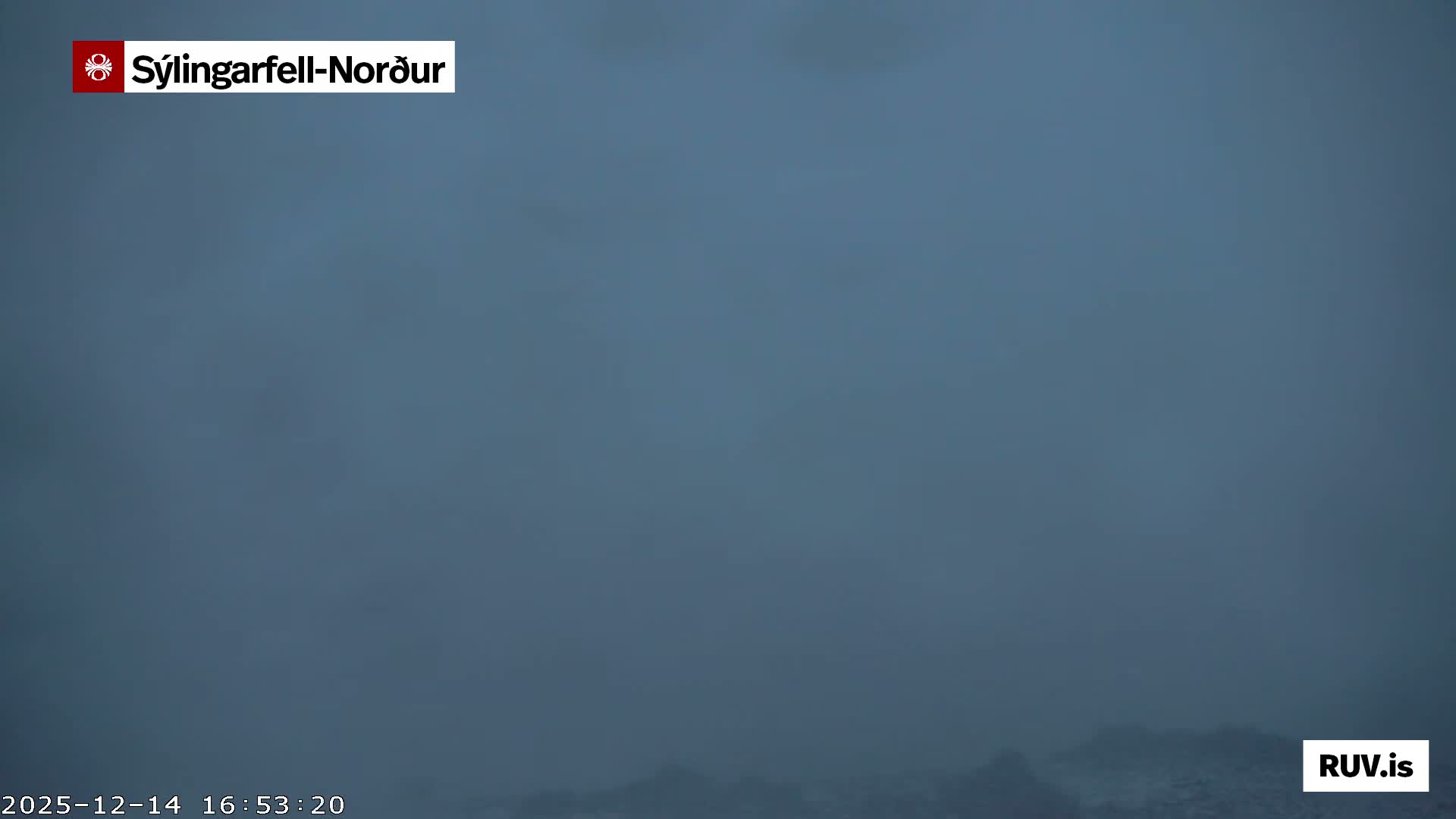 A dark nighttime landscape reveals undulating, possibly snow-covered terrain in the foreground with a distant band of city lights under a clear sky.