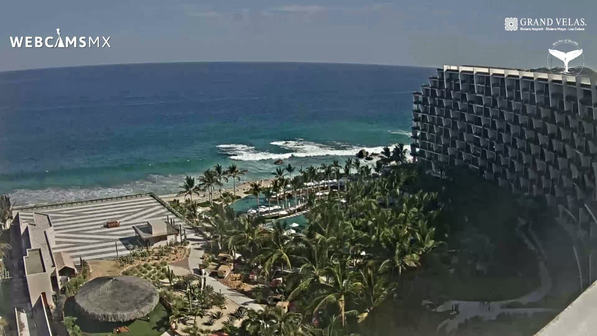 A resort with a large pool and palm trees sits on a coastline with a blue ocean under sunny skies.