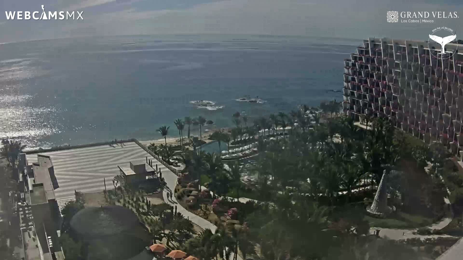 A nighttime outdoor scene captures a large building brightly illuminated by countless white lights and a central area with blue lights, all appearing diffused through a misty or hazy atmosphere.