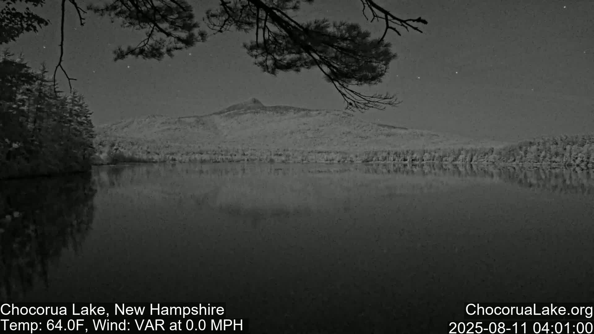 A calm, dark lake reflects a mountain under a starry night sky, with tree branches partially obscuring the view.