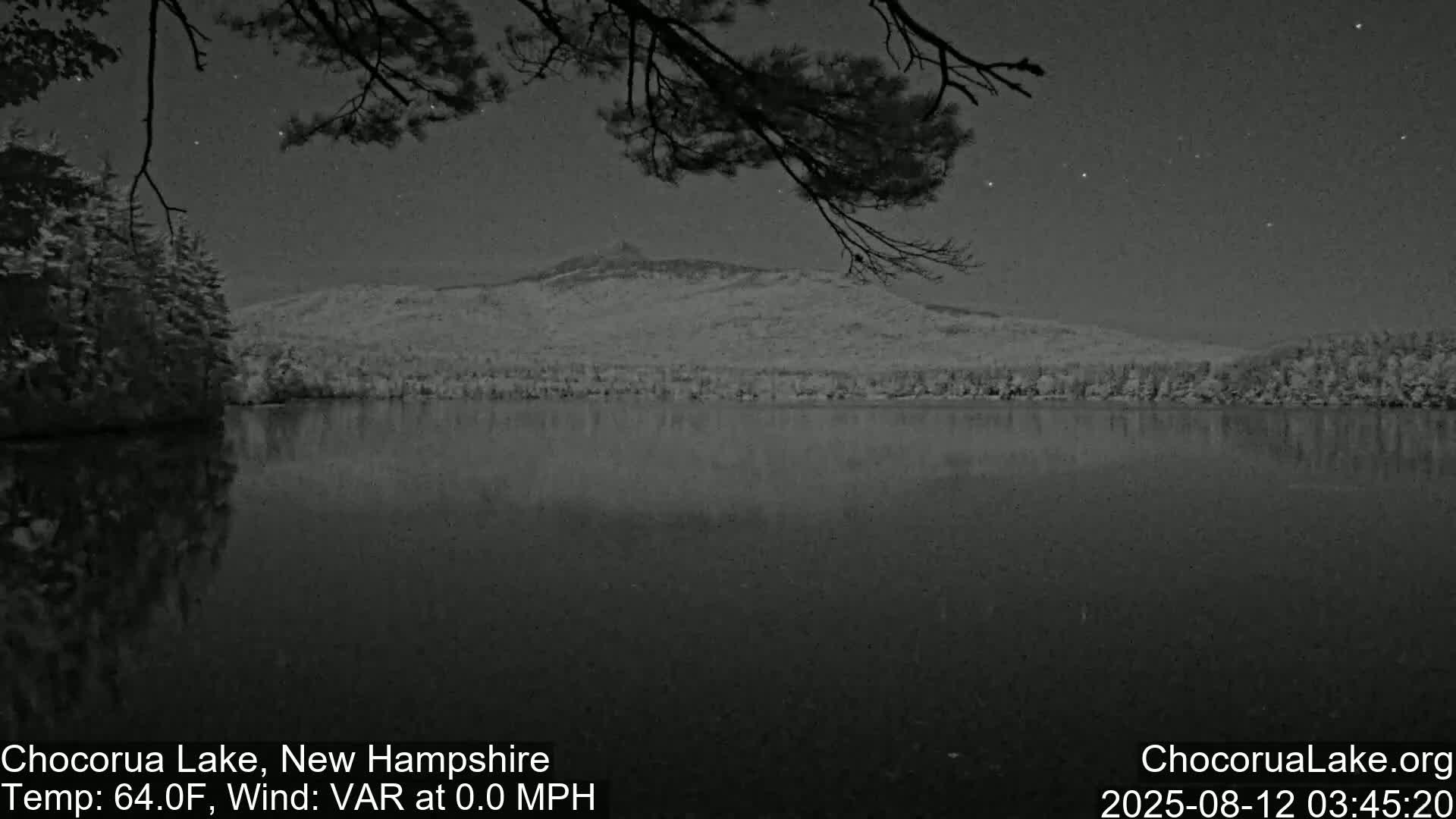 A calm lake at night reflects a mountain under a starry sky, with a tree branch partially obscuring the view.