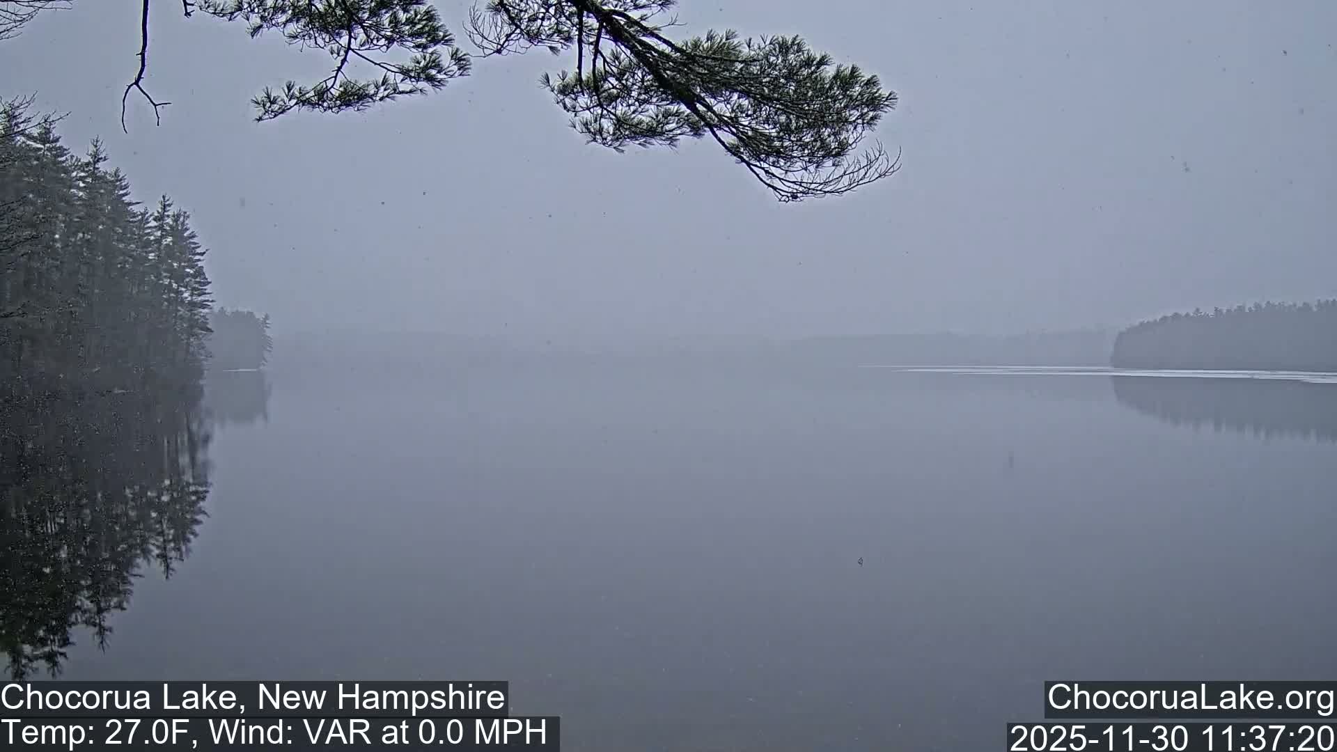 A dark, nighttime landscape shot reveals a clear, starry sky above a silhouetted tree branch, a wide body of water, distant hills, and a few faint lights on the far shore.