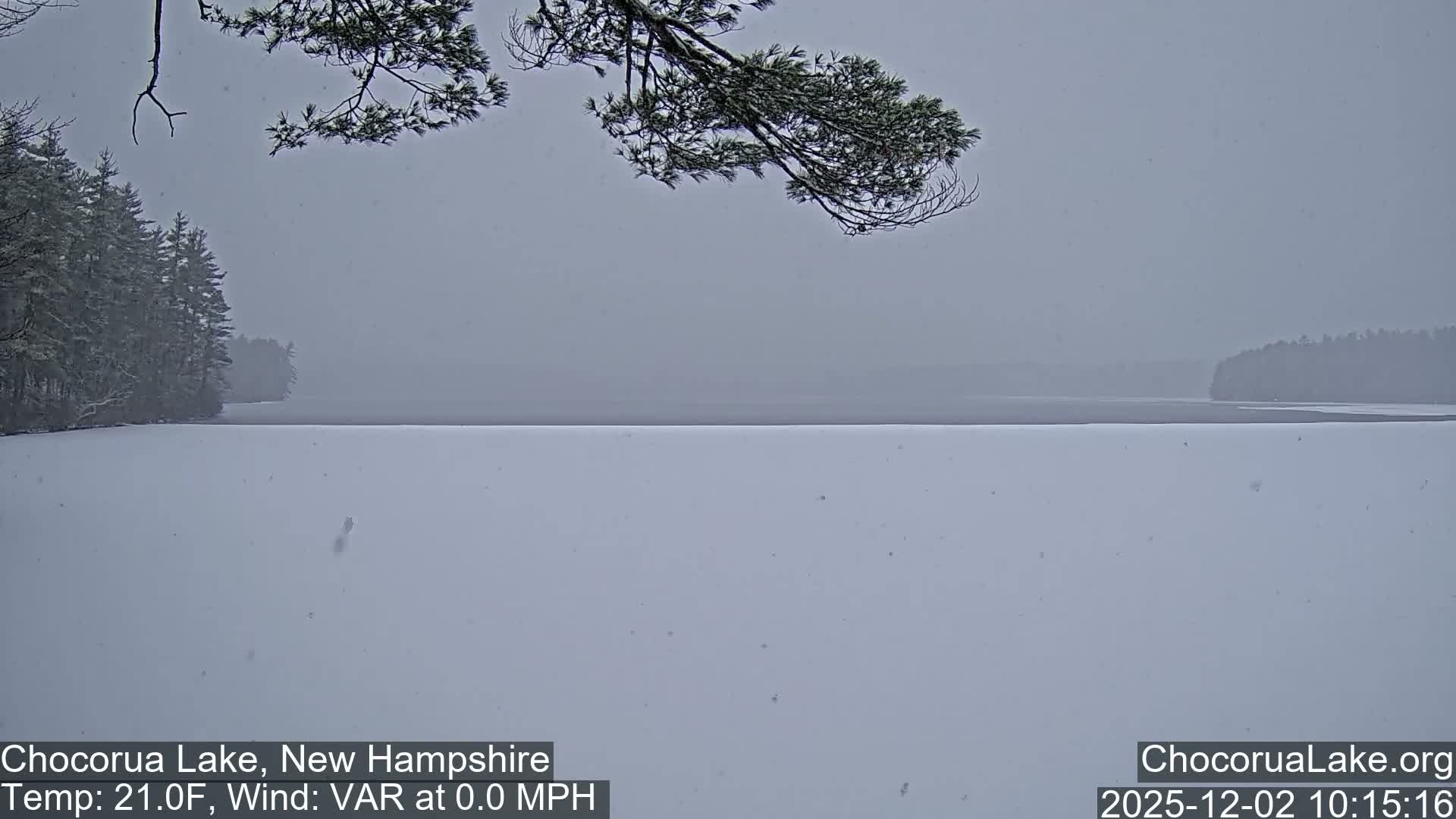 A serene winter landscape depicts a snow-covered lake bordered by a distant line of frosted evergreen trees, all blanketed under an overcast sky with light snowfall and a pervasive misty atmosphere.