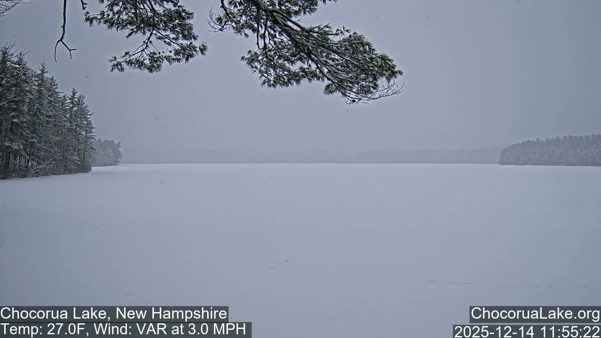 A monochromatic outdoor scene captures a partially frozen lake in the foreground, bordered by an evergreen forest and distant mountains under an overcast sky.