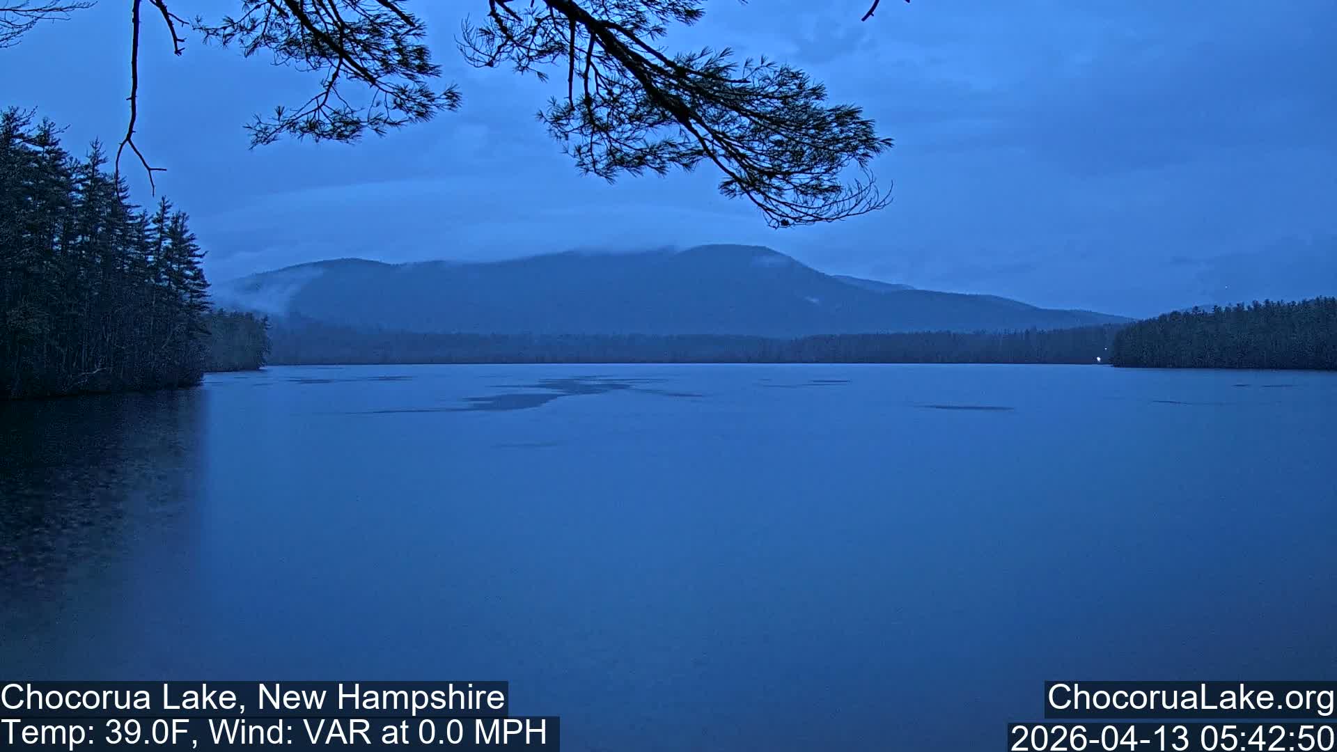 A monochromatic outdoor scene captures a partially frozen lake in the foreground, bordered by an evergreen forest and distant mountains under an overcast sky.