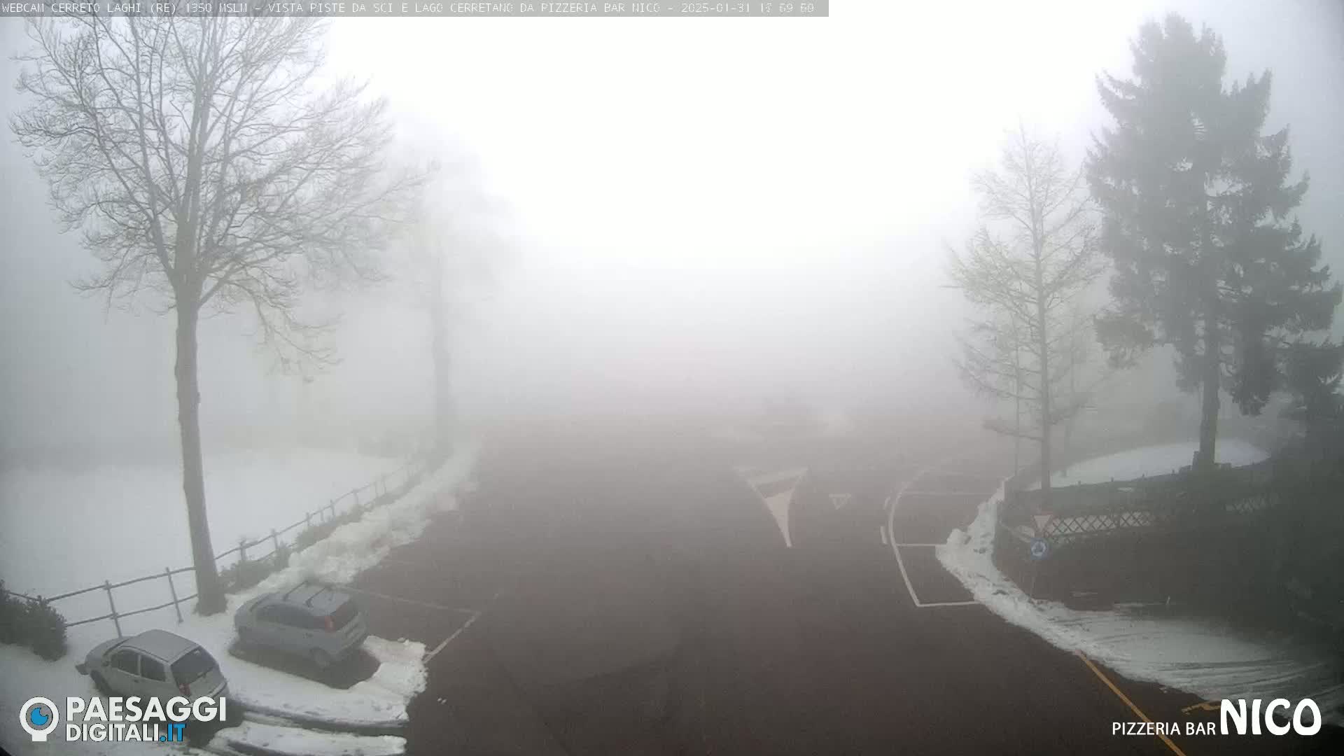 A foggy parking lot with patches of snow, two cars, and several trees is visible.