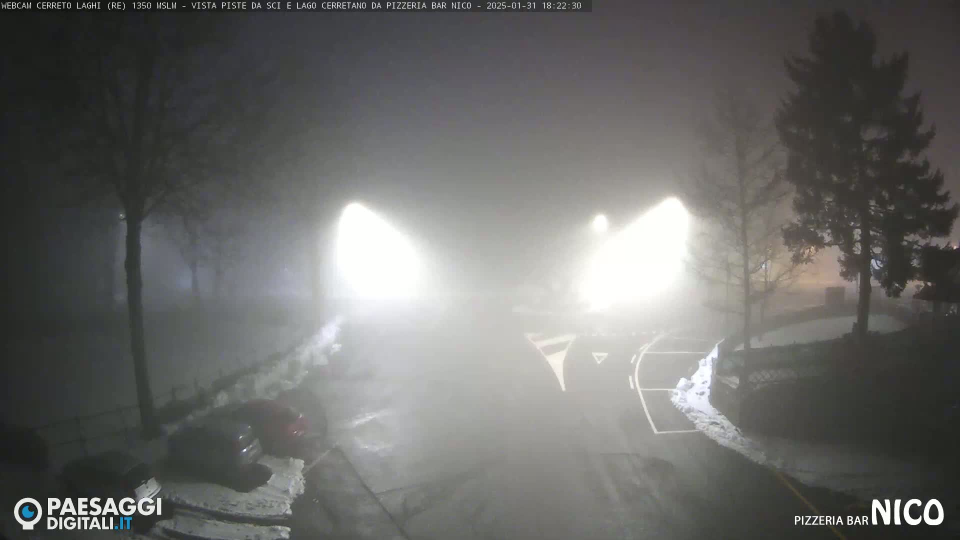 A foggy, nighttime scene shows a road with parked cars and streetlights, partially obscured by snow.