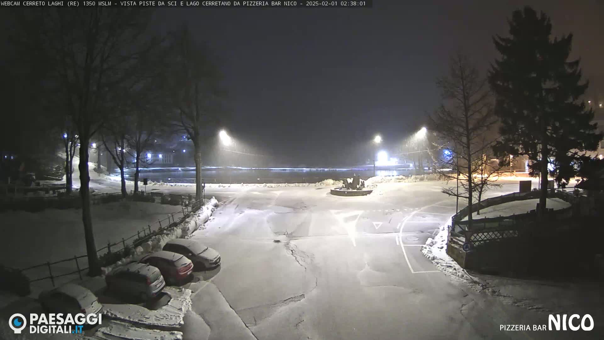 A snow-covered parking lot at night, illuminated by streetlights, with several cars parked and trees in the background under light snowfall.