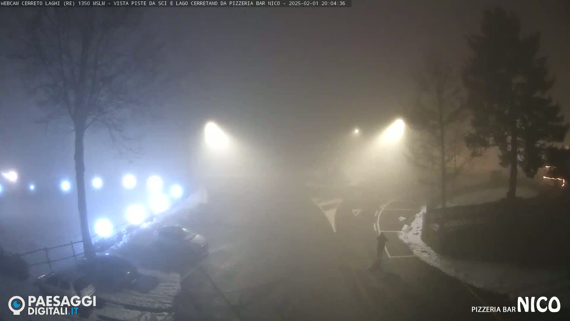 A foggy night scene shows a road with parked cars and a person walking, illuminated by streetlights.