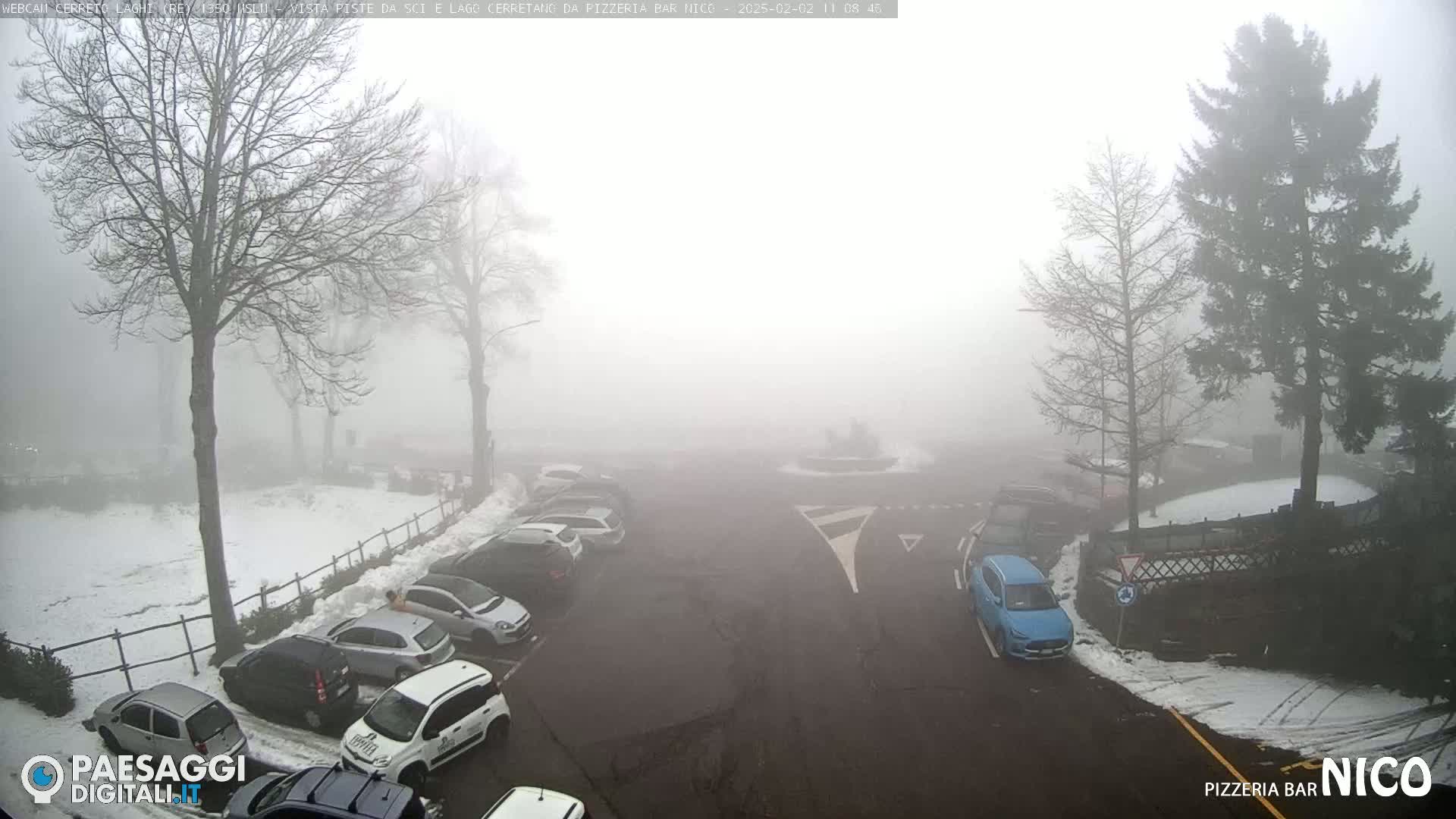 A foggy parking lot with cars and snow on the ground, surrounded by bare trees and evergreens.