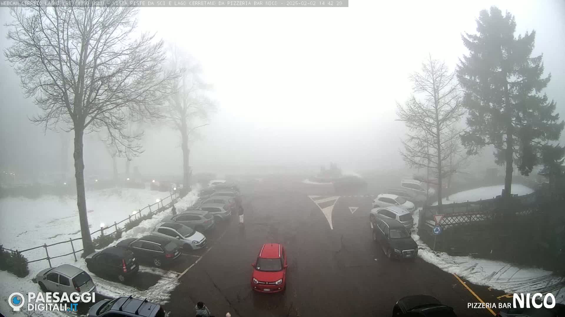 A parking lot with cars is covered in fog and patches of snow, with several bare trees and evergreen trees visible in the background.