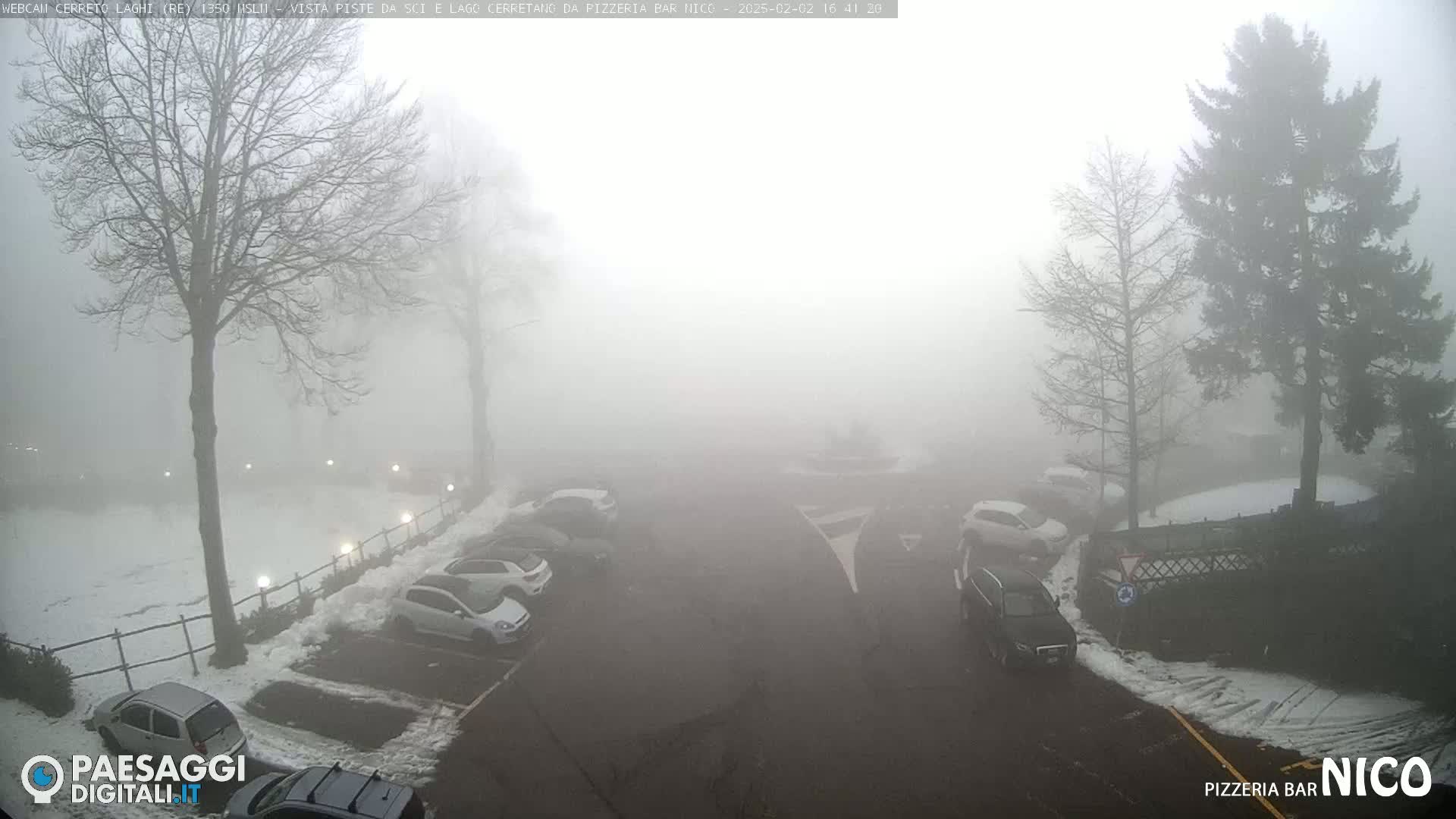 A foggy parking lot with several cars, partially covered in snow, is surrounded by bare trees.