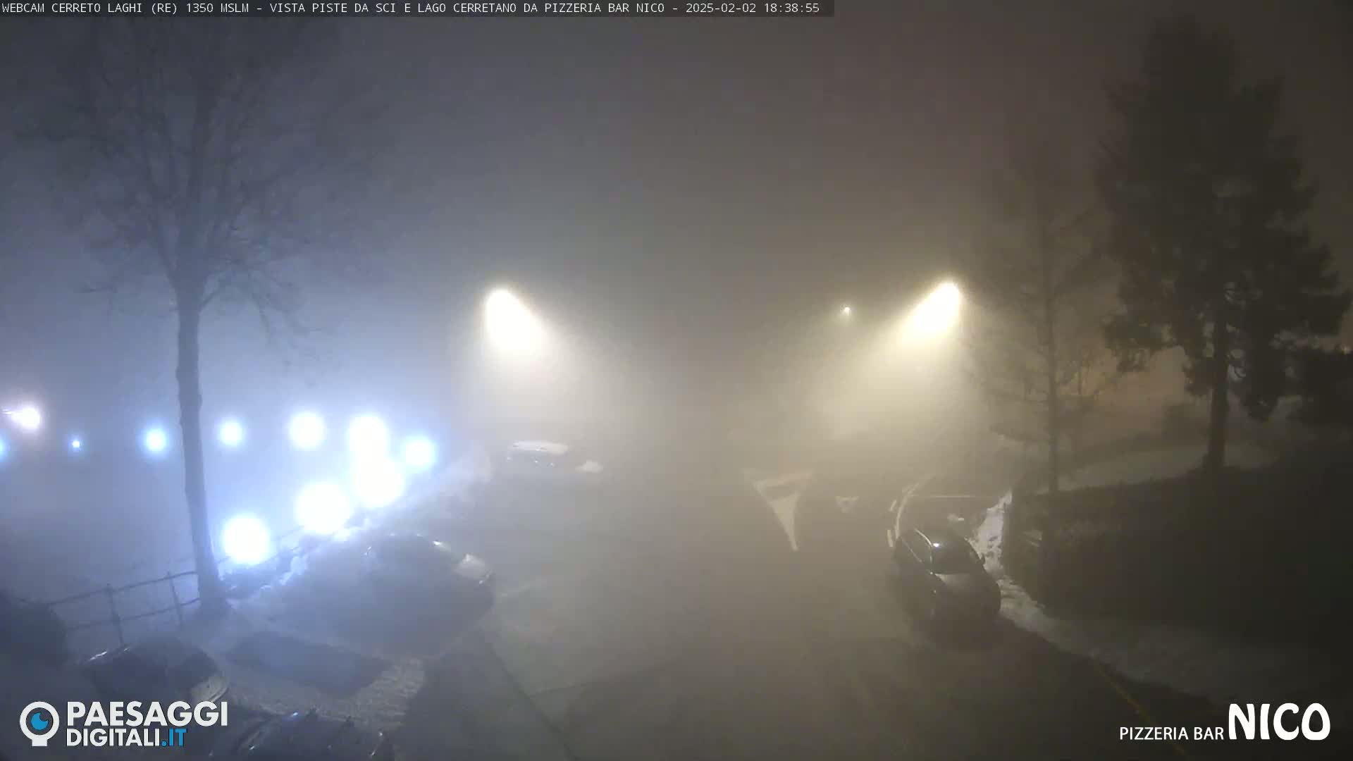 A foggy night scene shows several parked cars illuminated by streetlights in a parking lot near some trees.