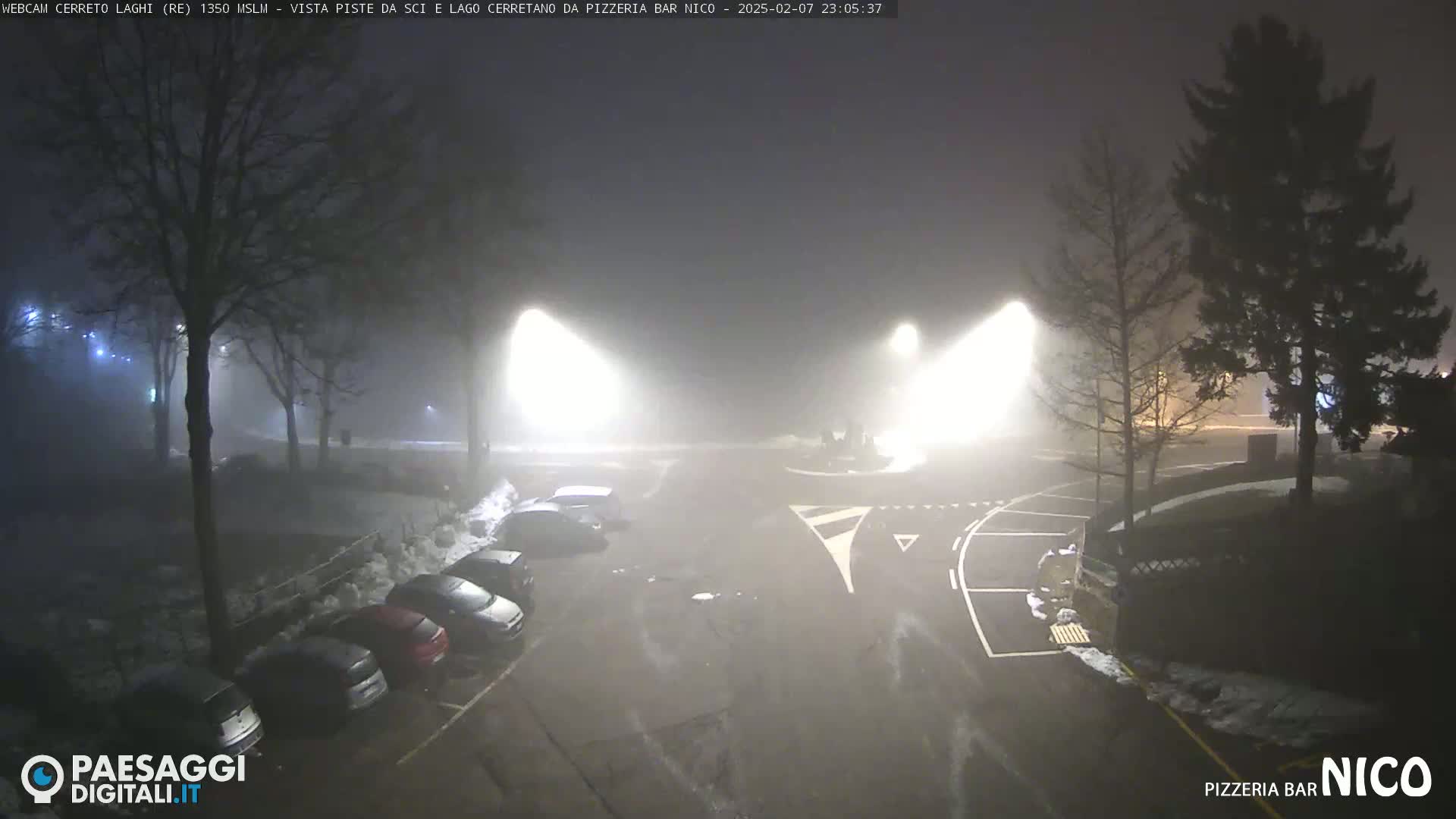 A foggy night scene shows a parking lot with several cars parked, illuminated by bright streetlights, and bordered by dark trees.