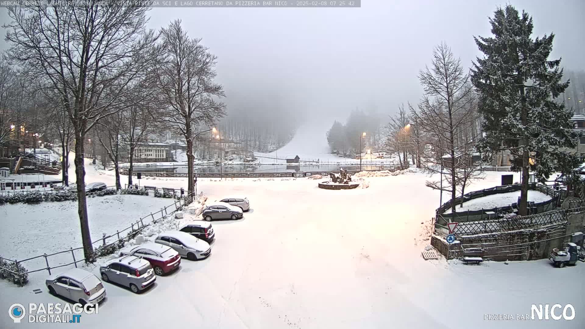 A snow-covered parking lot with several cars and a large evergreen tree, situated in front of a snowy landscape under a foggy sky.