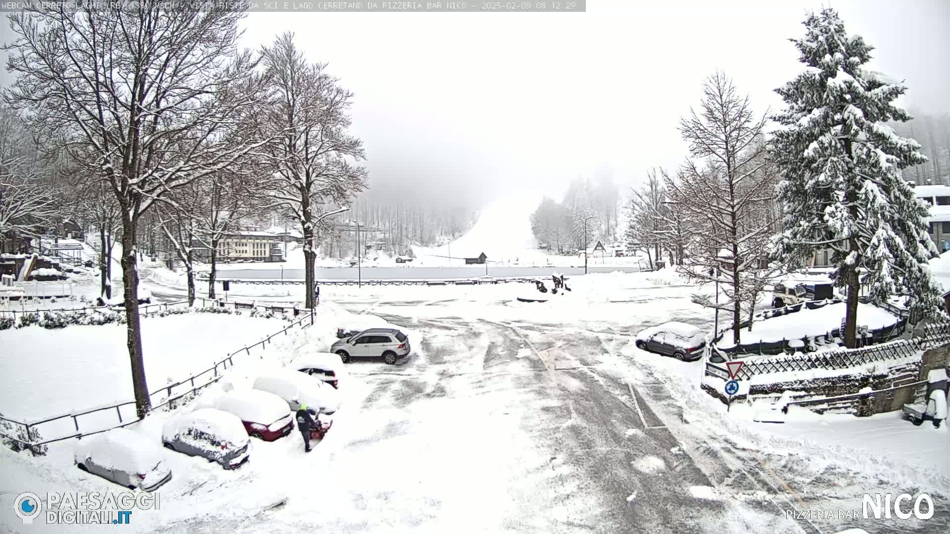 A snow-covered parking lot and surrounding area with cars buried in snow, several snow-laden trees, and a person using a snow blower, all under a heavy snowfall.