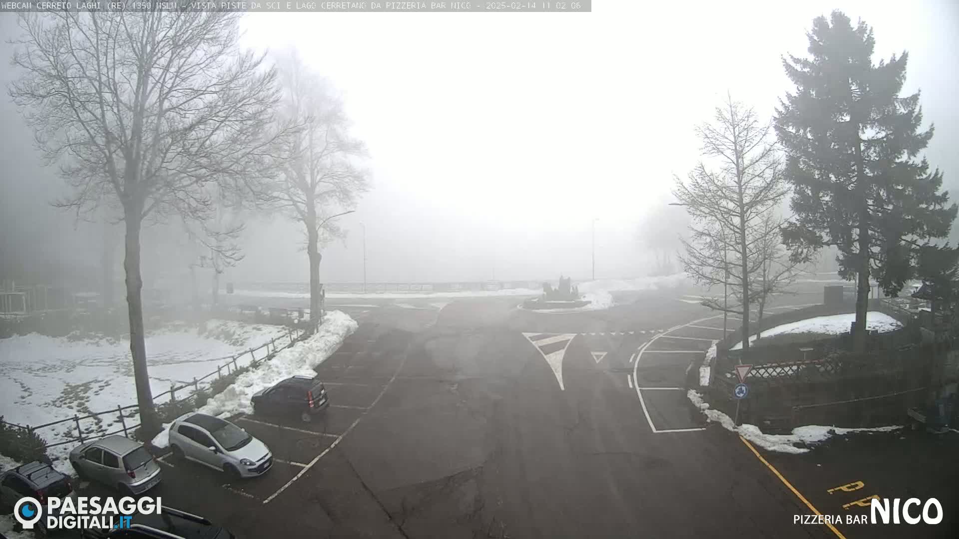 A foggy parking lot with several cars and snow on the ground, surrounded by leafless trees.
