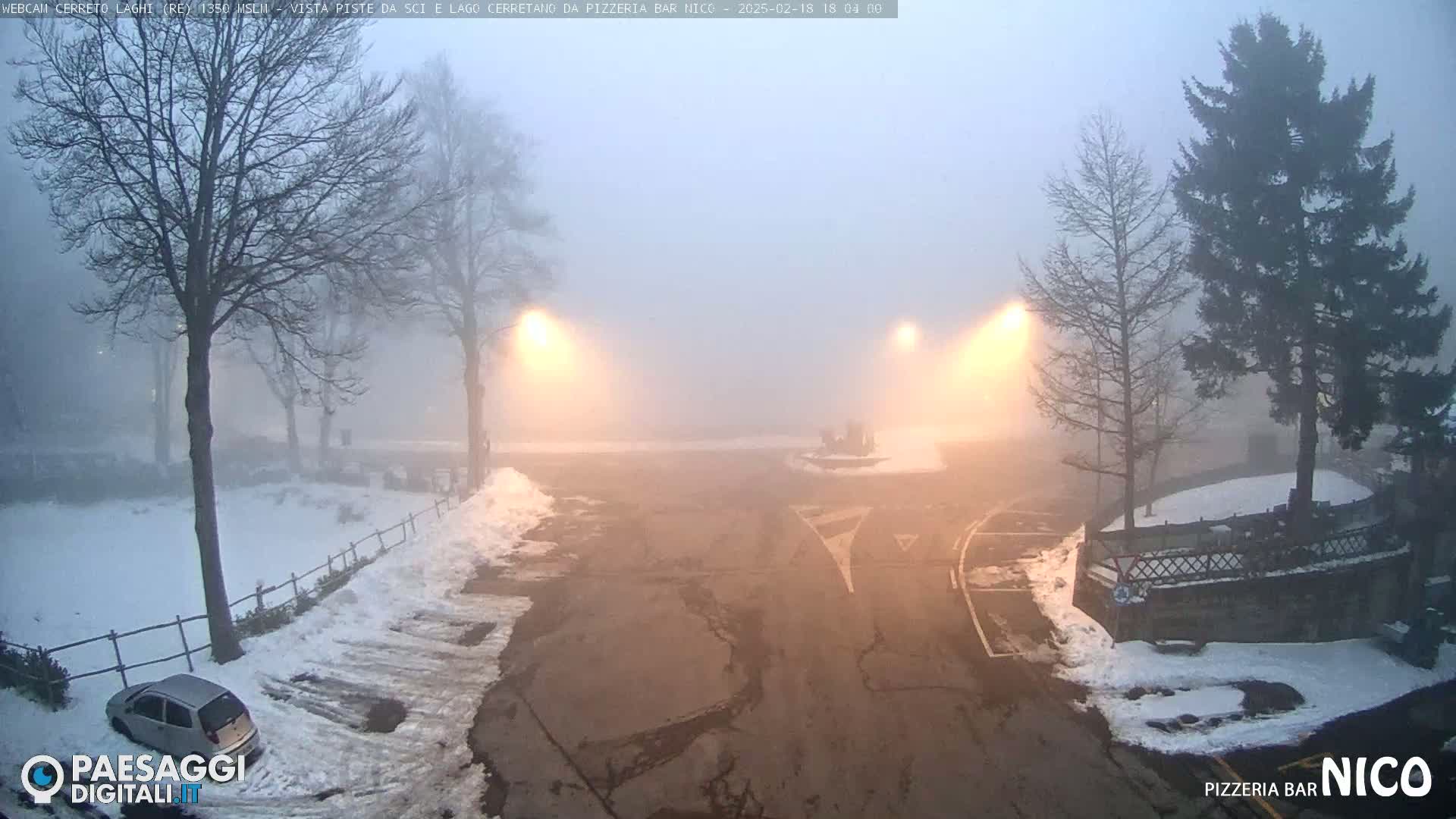 A foggy, snowy parking lot with a few cars and trees under streetlights.