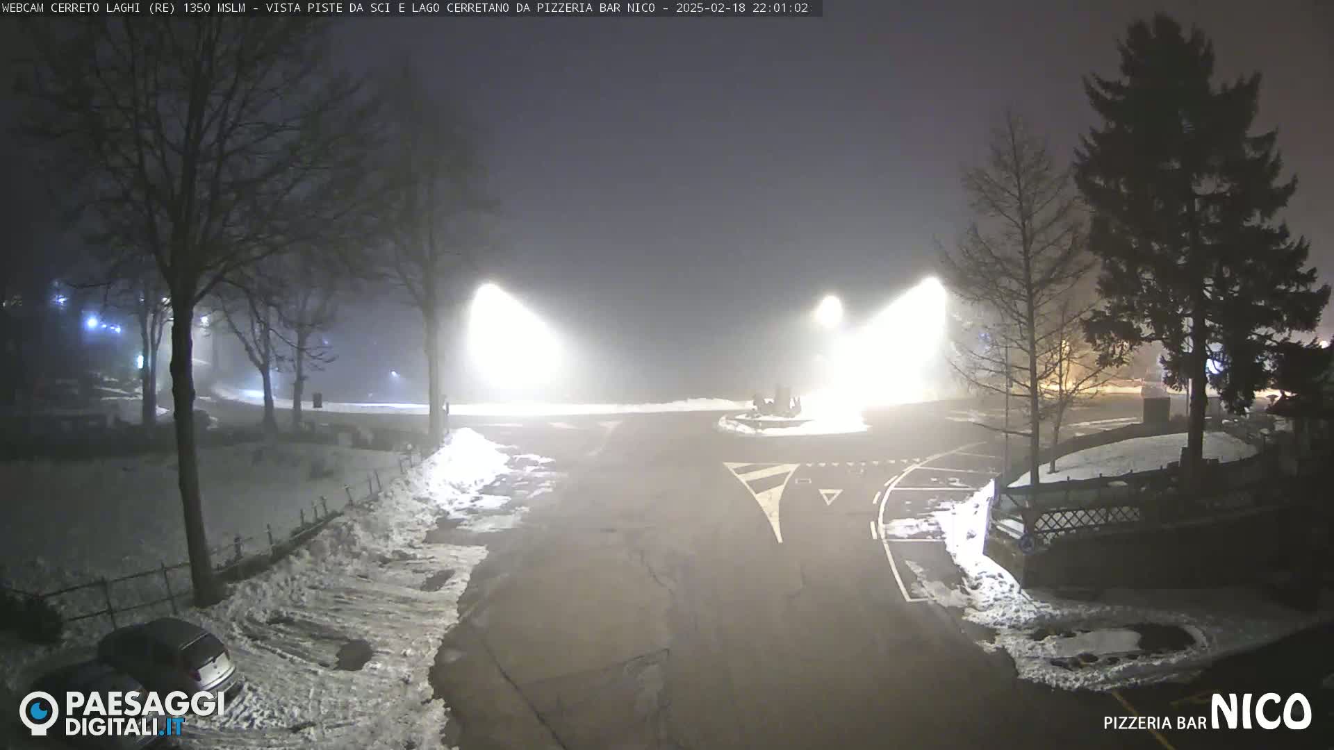A nighttime, foggy scene shows a snow-covered parking lot and road with several illuminated streetlights, and a few trees in the background.