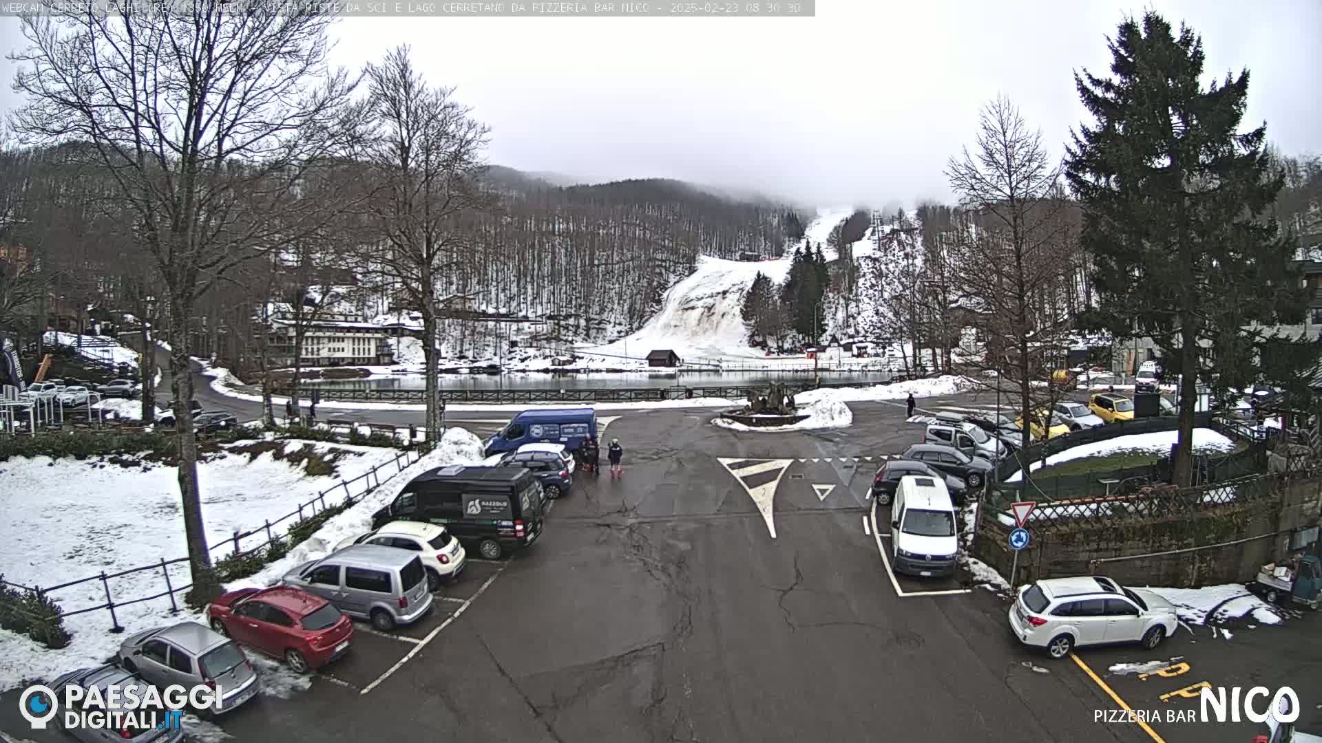 A parking lot with several cars, surrounded by snow-covered ground and trees, overlooks a snow-covered ski slope under an overcast sky.