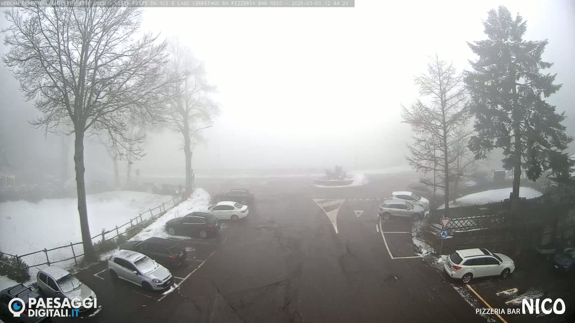A foggy parking lot with several cars parked, surrounded by snow-covered ground and leafless trees.