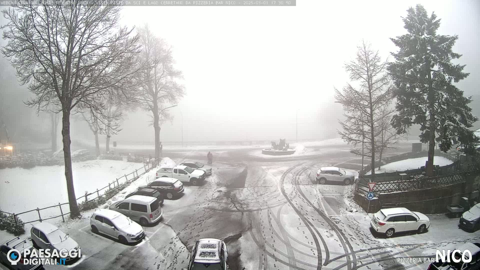 A snow-covered parking lot and roadway are visible in a foggy, snowy scene, with several cars parked and a few trees sparsely scattered around.