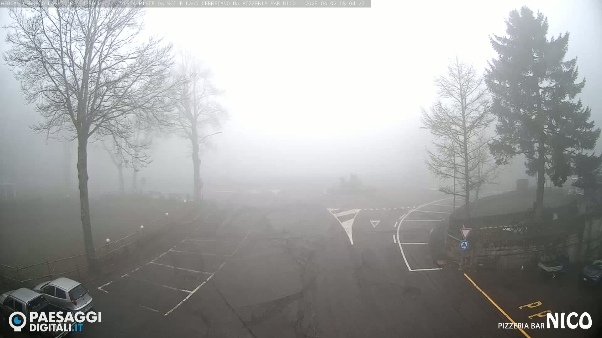 A foggy parking lot and roadway are surrounded by bare trees and evergreens.