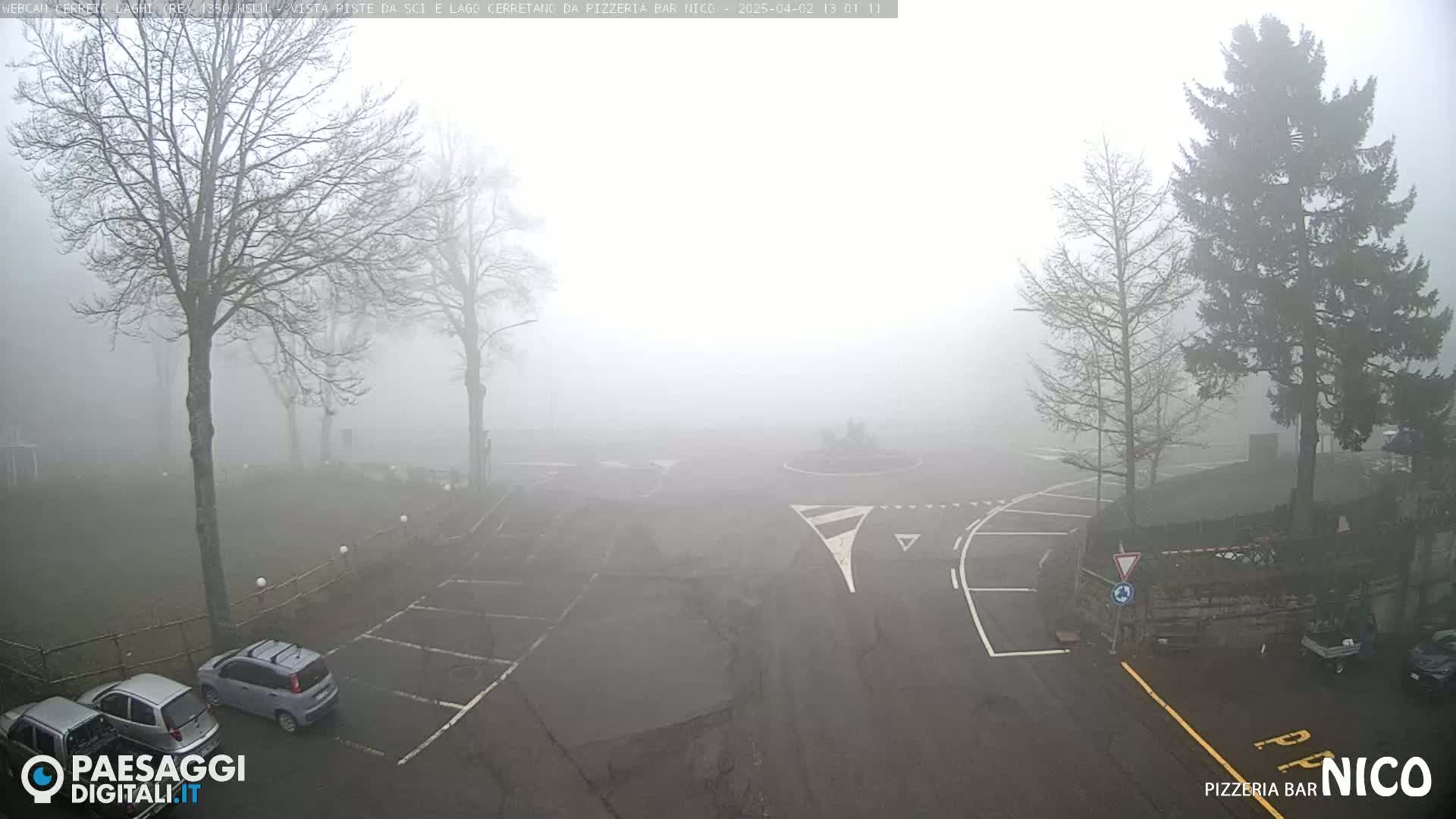 A foggy parking lot and roadway are surrounded by bare trees and evergreens.