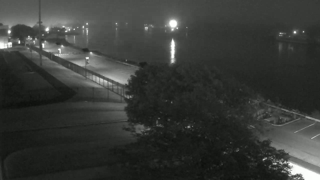 A foggy nighttime scene shows a paved walkway and parking lot next to a body of water, with a large tree in the foreground.