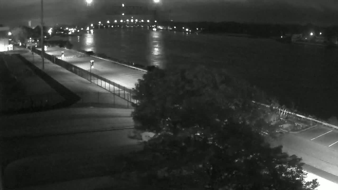 A nighttime, high-angle view shows a paved walkway and parking lot next to a dark body of water, with a large tree partially obscuring the view.